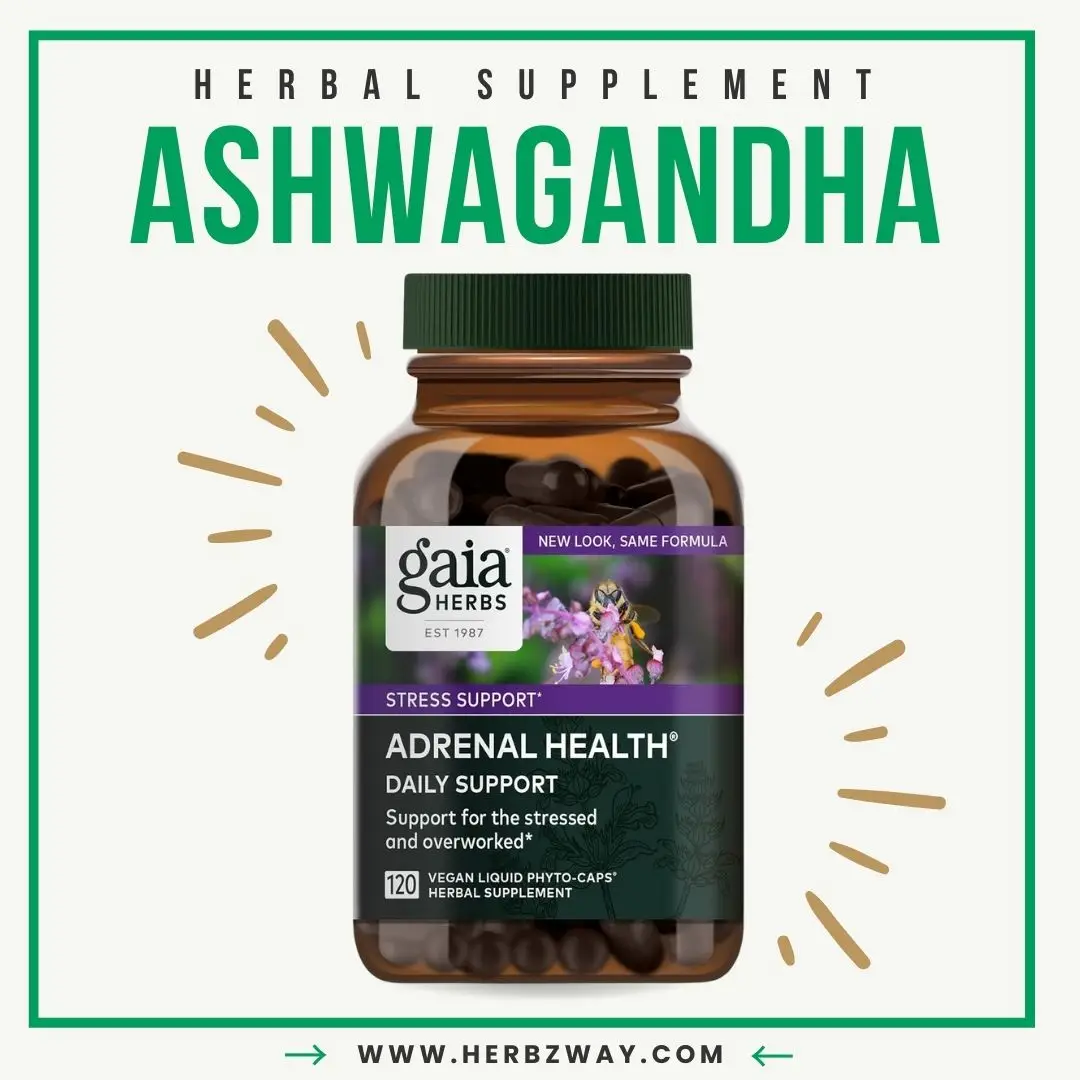 Gaia Herbs Adrenal Health Daily Support - Herbal Supplement with Ashwagandha, Holy Basil & Schisandra