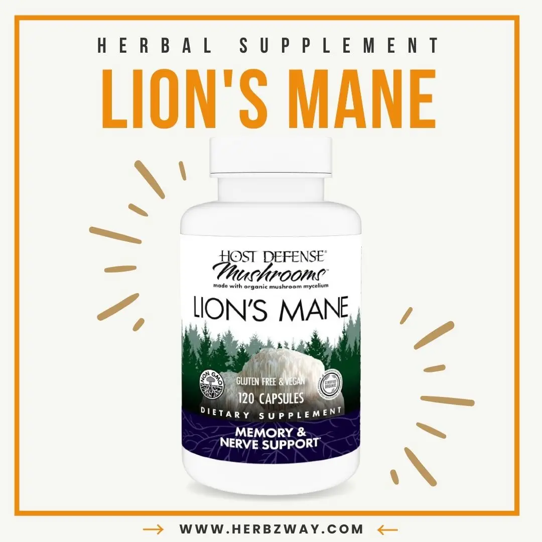 Host Defense Mushrooms Lion's Mane - Supplement Capsules for Brain Health Support