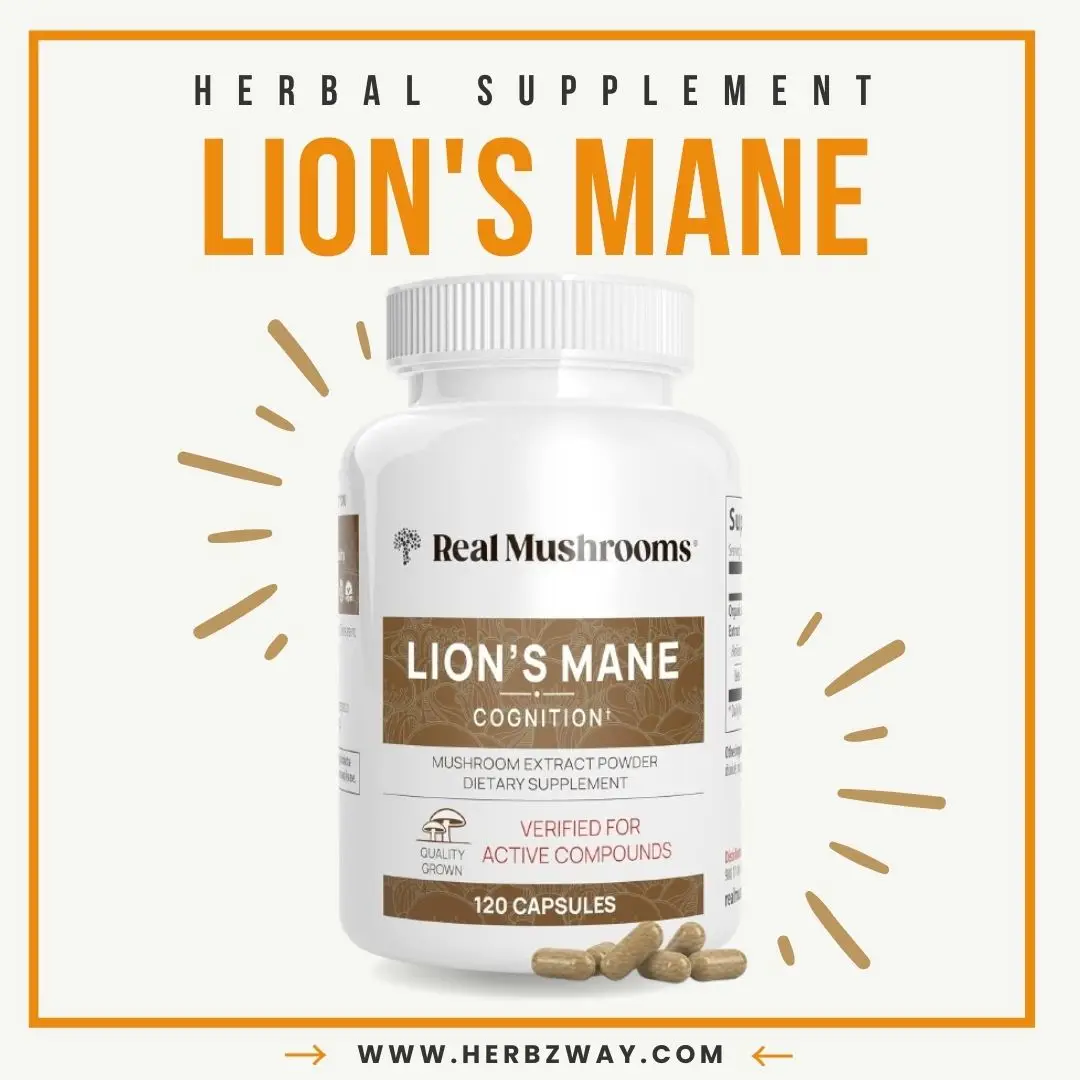 Lions Mane Mushroom Powder Extract Capsules