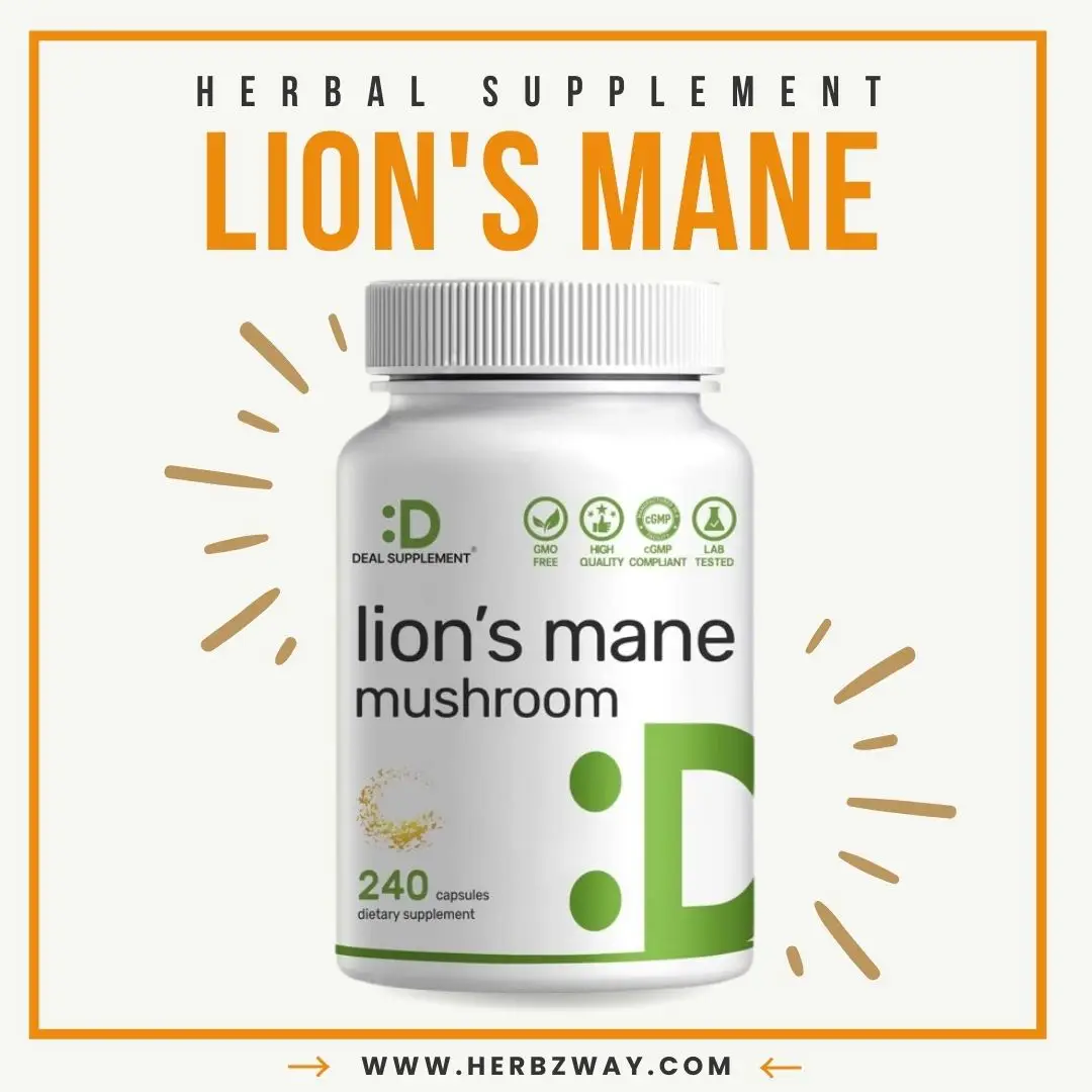 Lions Mane Mushroom Supplement, 240 Capsules