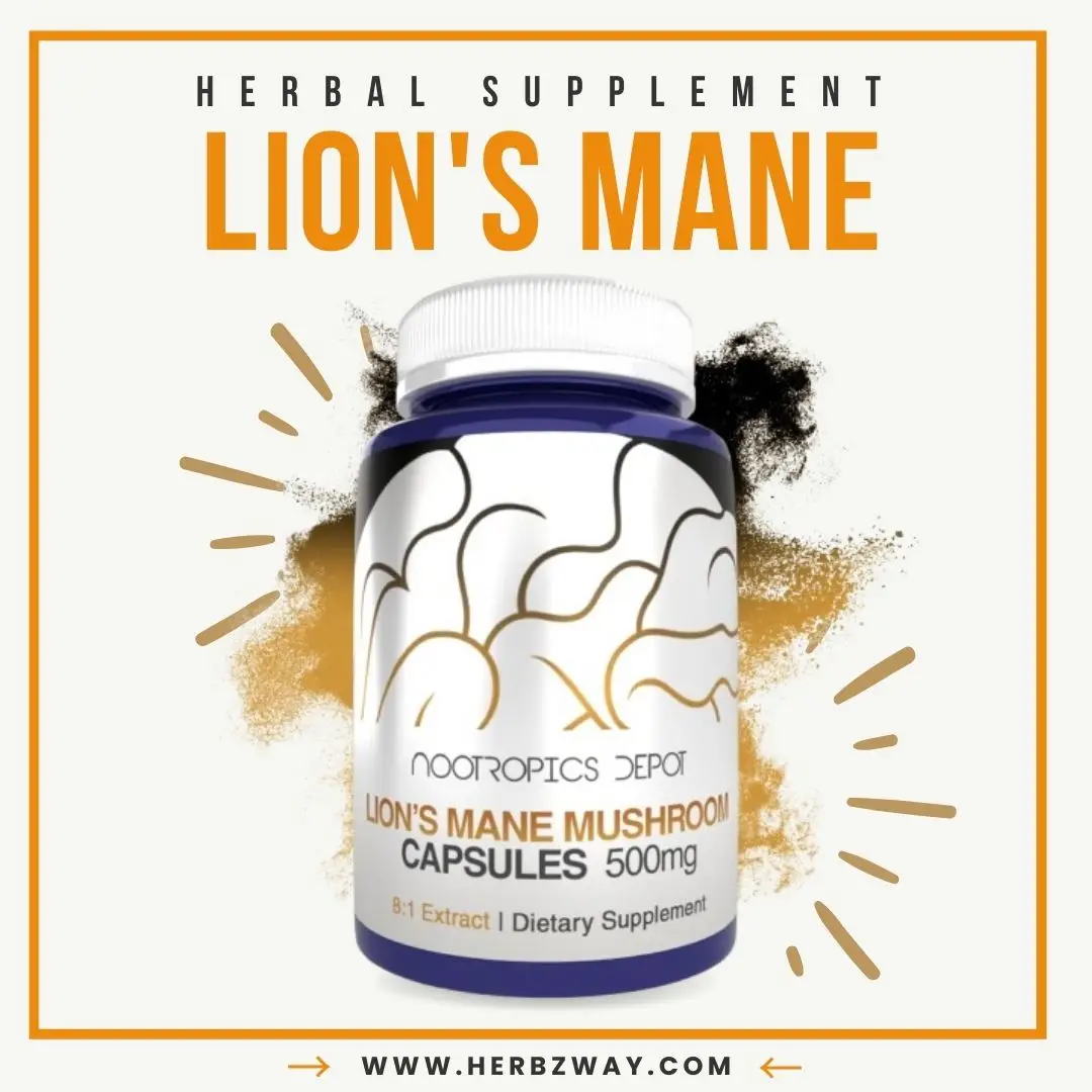 Nootropics Depot Lions Mane Mushroom Capsules