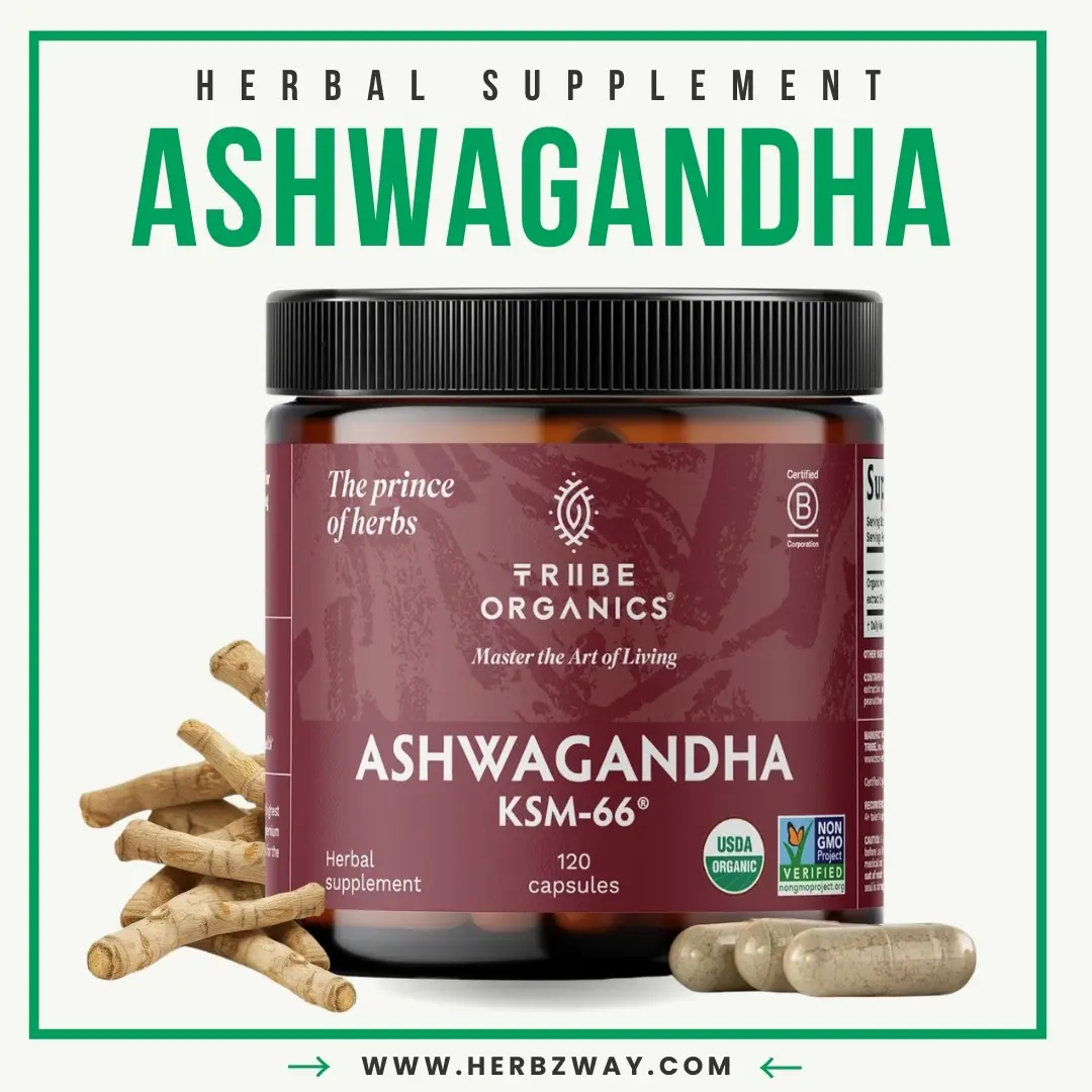 TRIBE ORGANICS Ashwagandha KSM-66 600mg