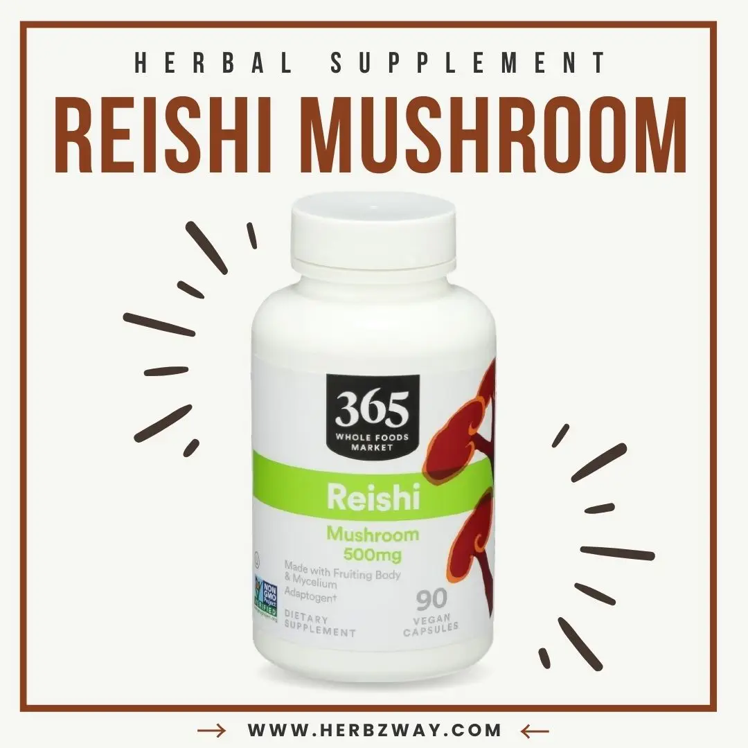 365 by Whole Foods Market Reishi 90 CT — budget‑friendly reishi mushroom supplement for daily wellness support