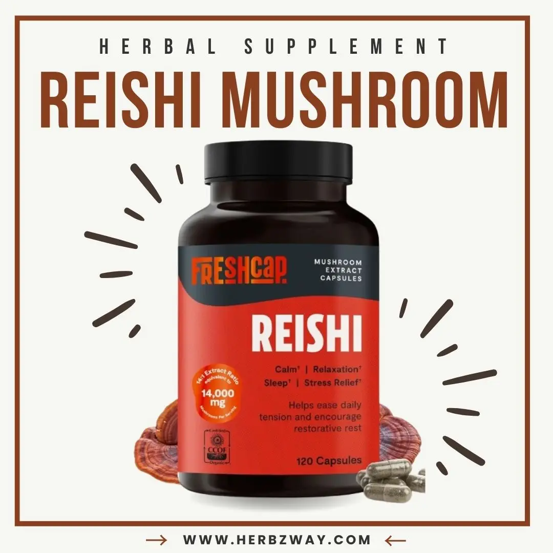 FreshCap Reishi Mushroom Supplement — high potency, dual-extracted organic capsules