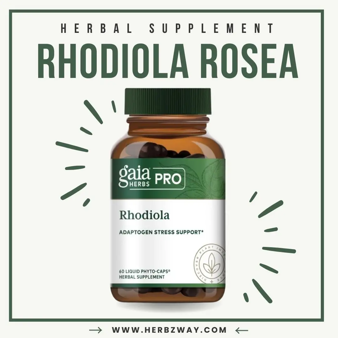 GAIA HERBS PRO Rhodiola - Energy Support Supplement