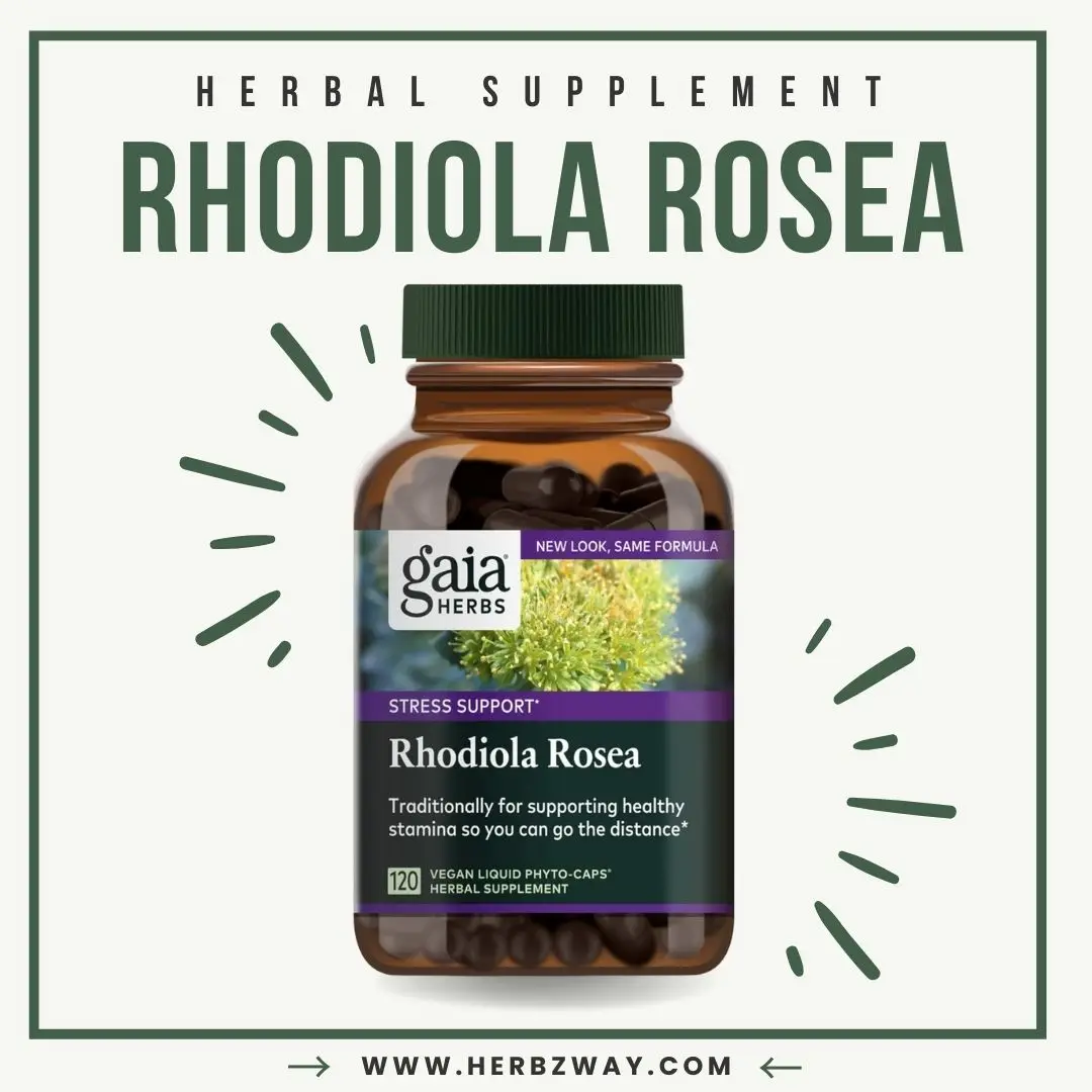 Gaia Herbs, Rhodiola Rosea Vegan Liquid Phyto Capsules - Stress Support Supplement