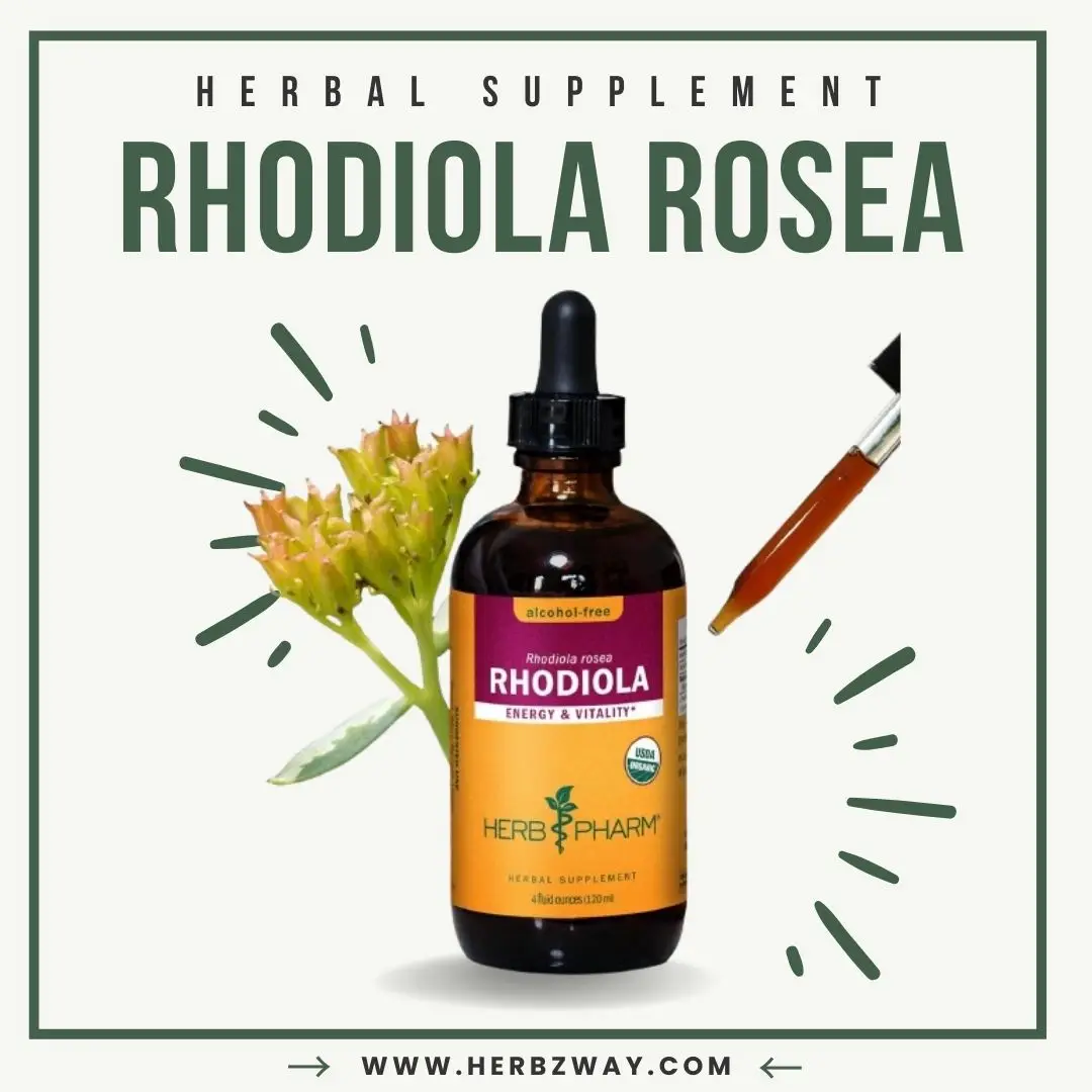 Herb Pharm Certified Organic Rhodiola Root Extract for Energy, Endurance and Stamina, Alcohol-Free Glycerite, 4 Ounce