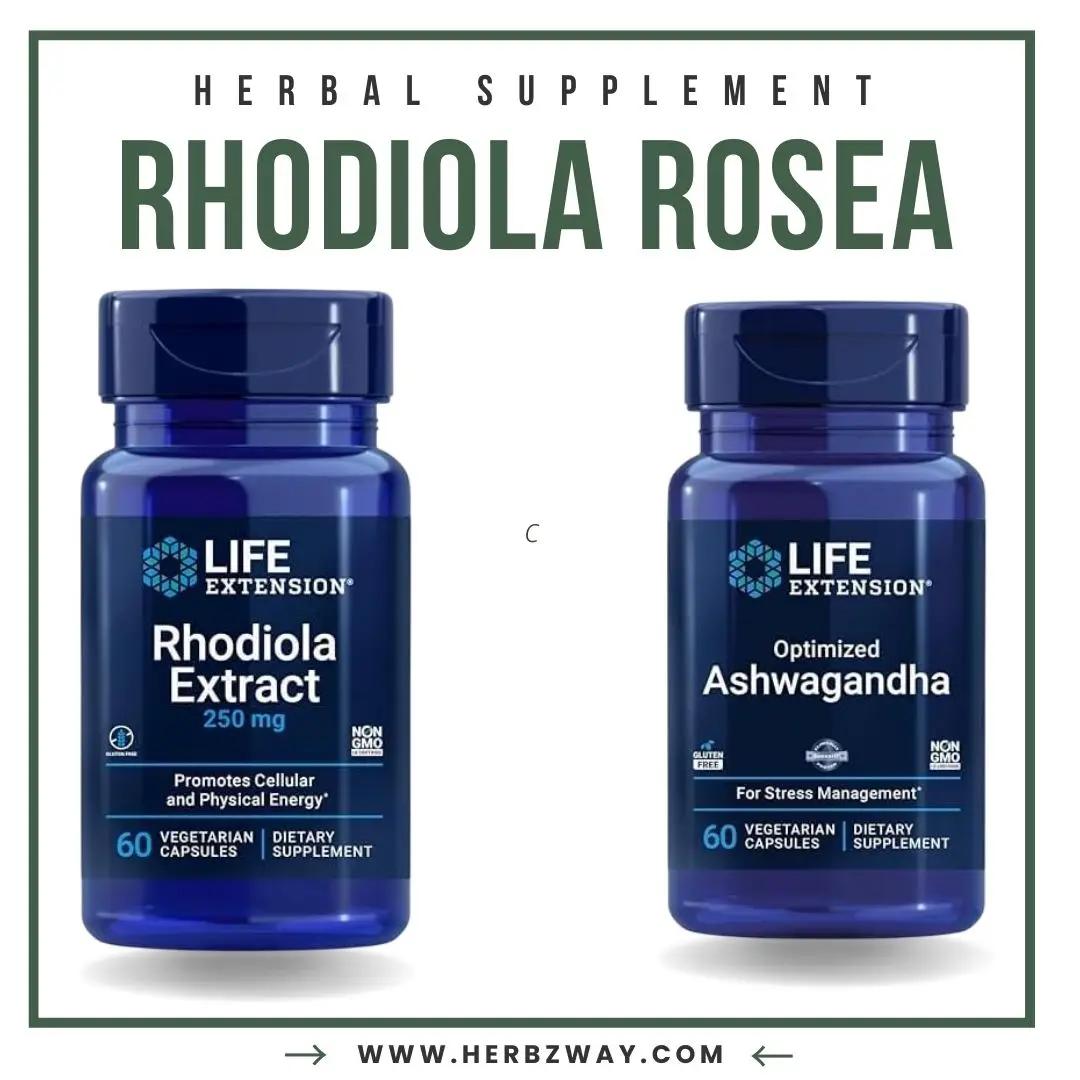 Life Extension Rhodiola and Ashwagandha Extract Bundle, Rhodiola rosea and ashwagandha Supplements, 60 Capsules Each