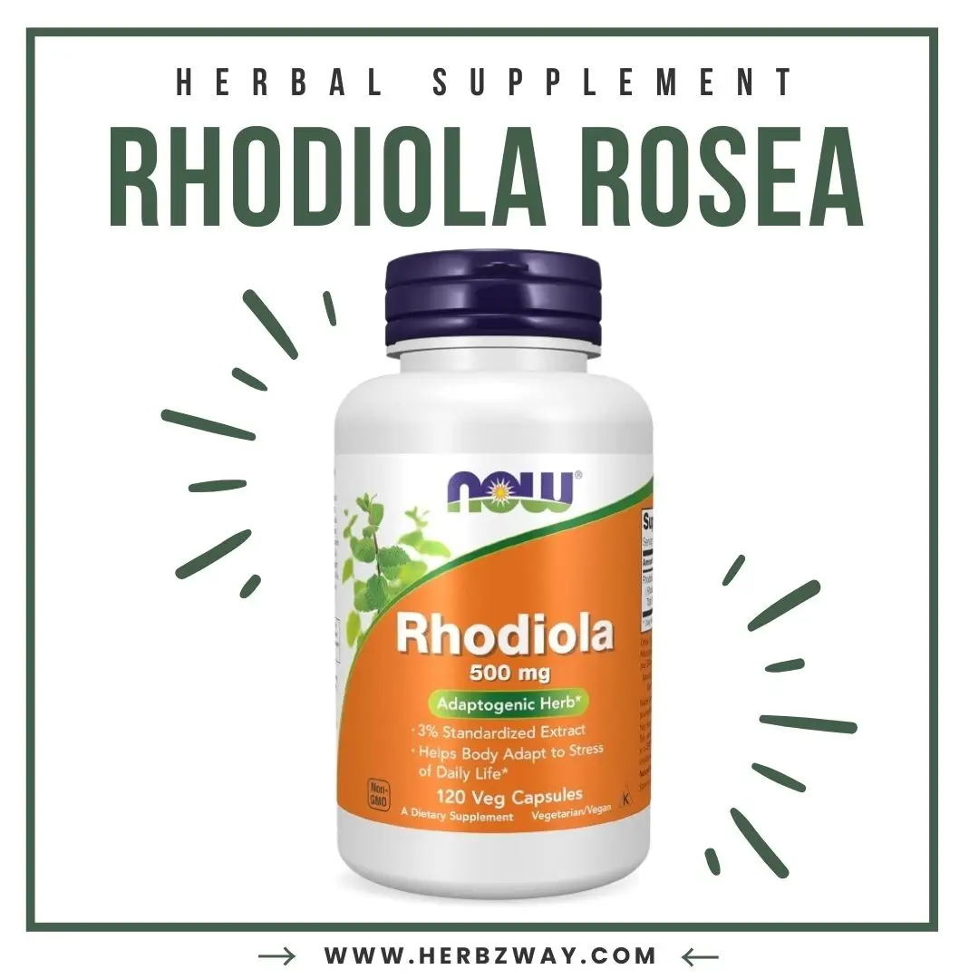 NOW Supplements, Rhodiola 500 mg, Helps Body Adapt to Stress of Daily Life*, Adaptogenic Herb*, 60 Veg Capsules