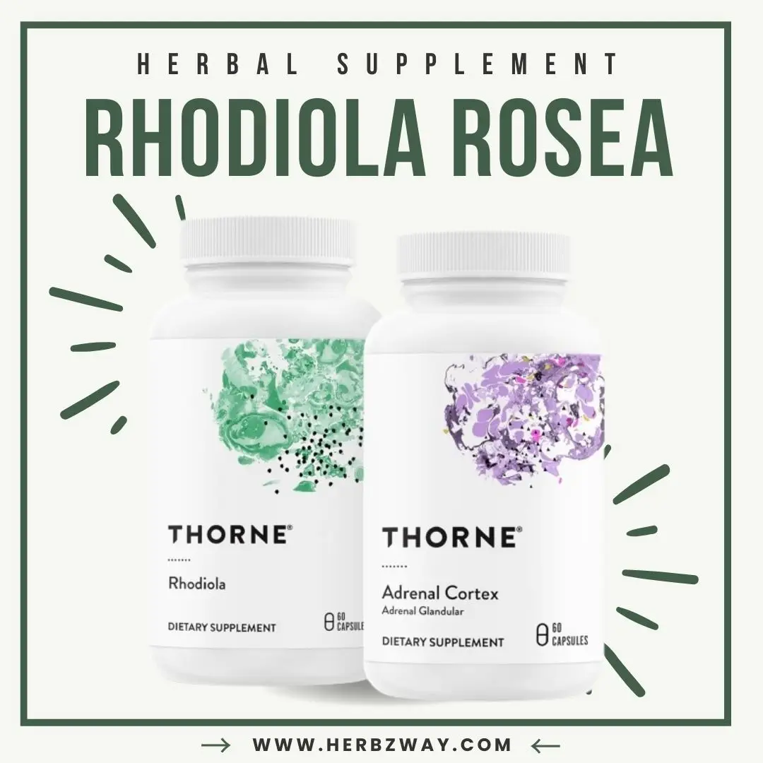 THORNE - Adaptogen & Adrenal Support Bundle - Natural Solutions for Coping with Stress - Rhodiola and Adrenal Cortex - 60 Servings