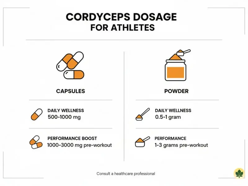 Cordyceps dosage guide for athletic performance