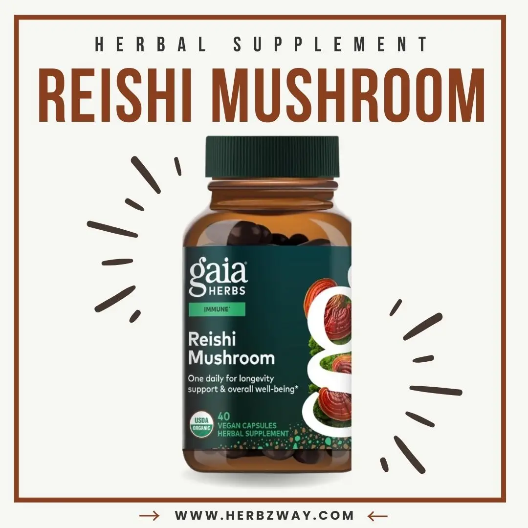 Gaia Herbs Reishi Mushroom capsules — certified organic adaptogen for immune, heart and stress support