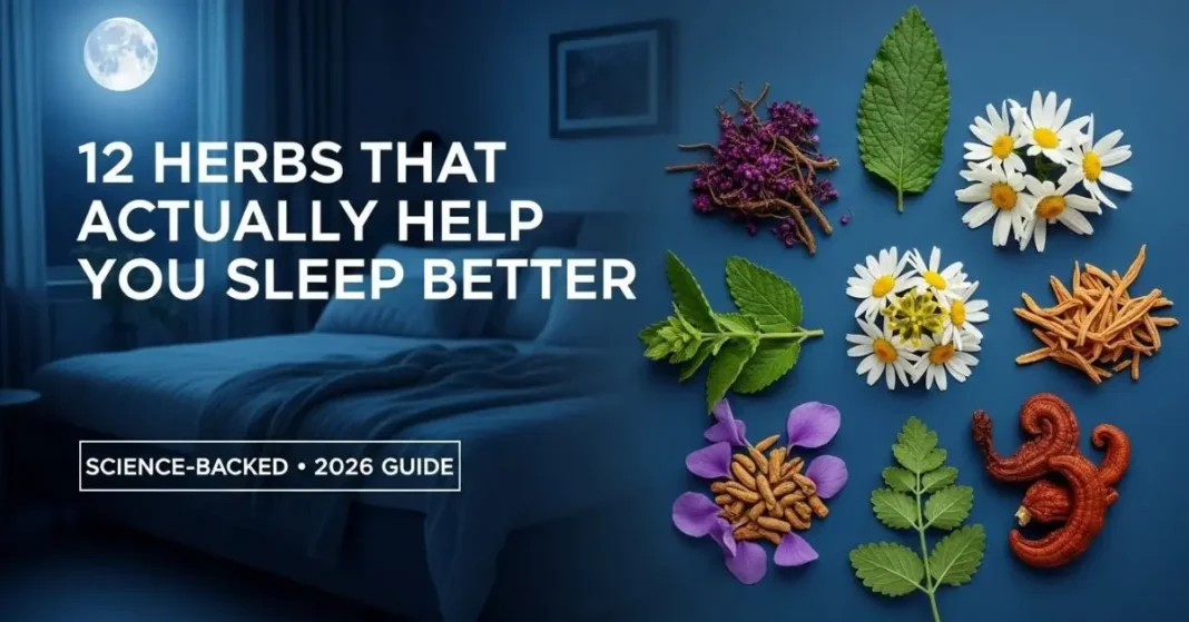 Herbs for better sleep including valerian, chamomile, passionflower, and ashwagandha arranged on a calm night background