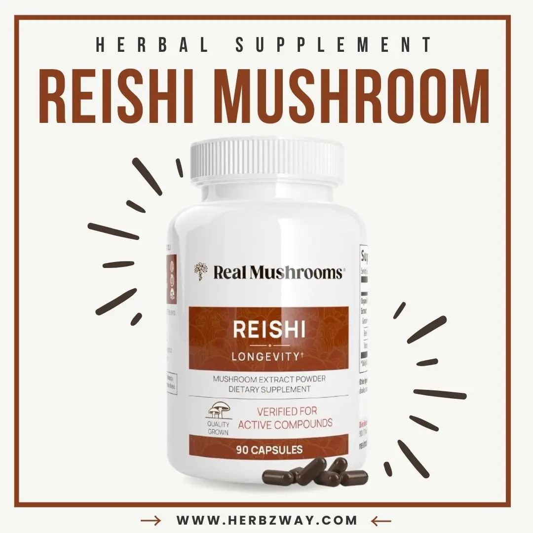 Real Mushrooms Reishi mushroom capsules made from organic fruiting body extract