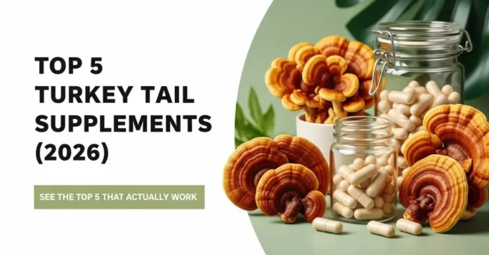 Best turkey tail supplements reviewed for immune support in 2026