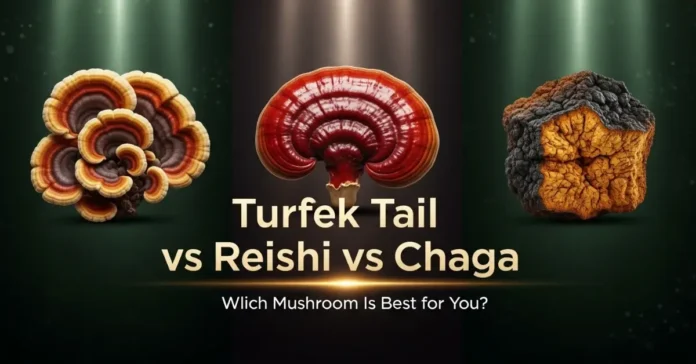 Turkey Tail vs Reishi vs Chaga medicinal mushrooms comparison image