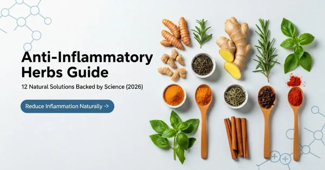Anti-Inflammatory Herbs Guide