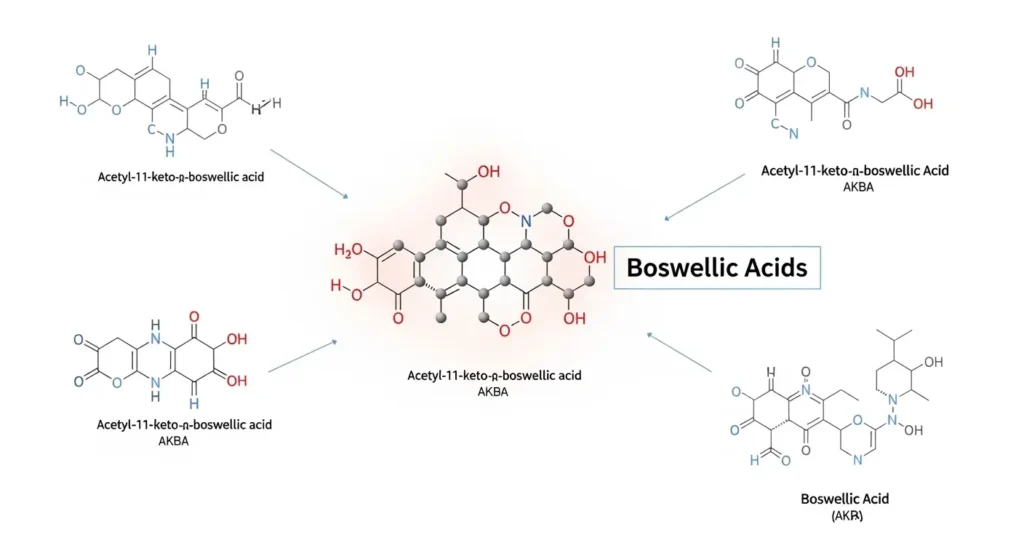 boswellic acids AKBA anti inflammatory mechanism
