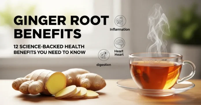 ginger-root-benefits-featured-image ginger root benefits including digestion, inflammation relief, brain and heart health