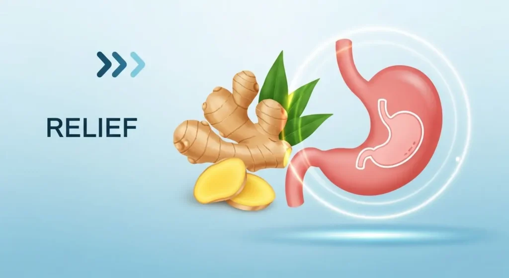 ginger vs turmeric for nausea and digestive relief