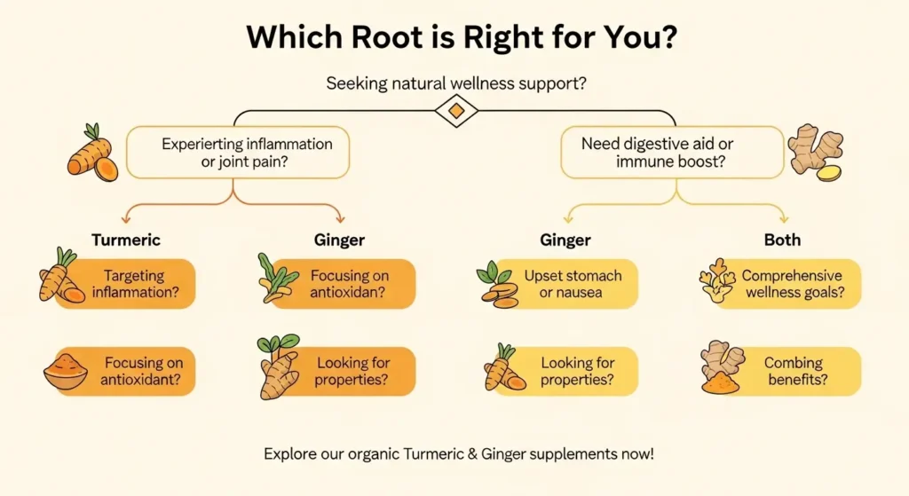 turmeric vs ginger decision guide infographic