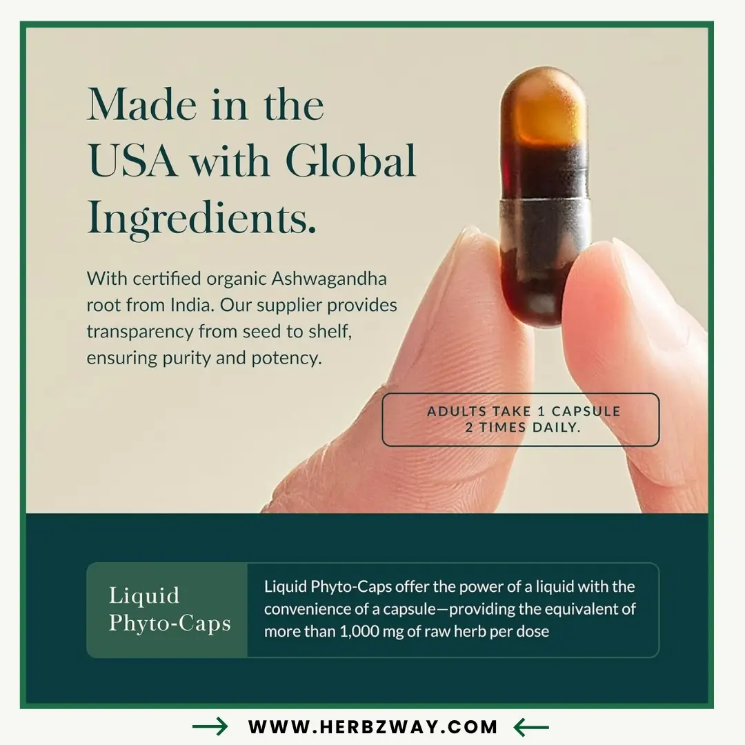 Gaia-Herbs-Ashwagandha-Root-Liquid-Phyto