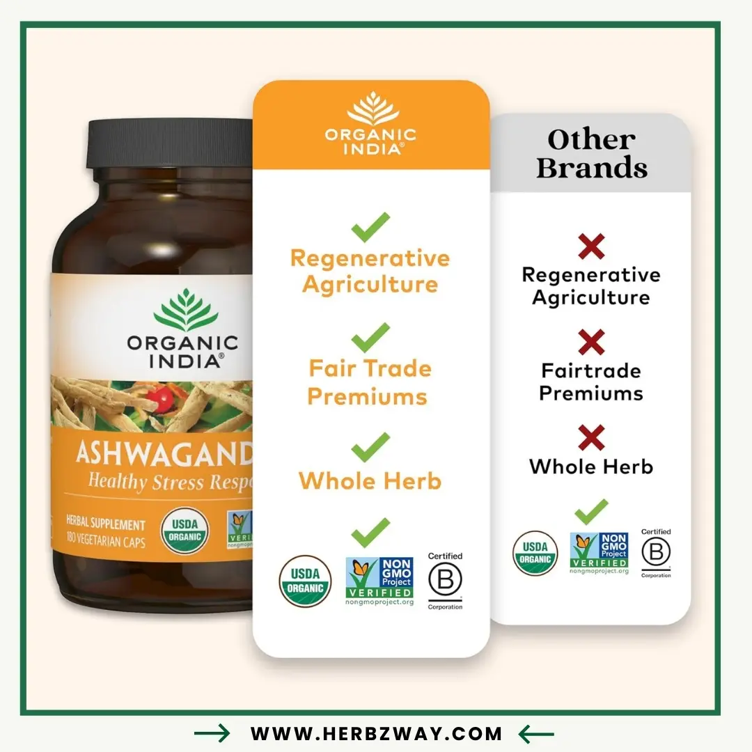 ORGANIC-INDIA-Ashwagandha-Capsules-Organic-Ashwagandha