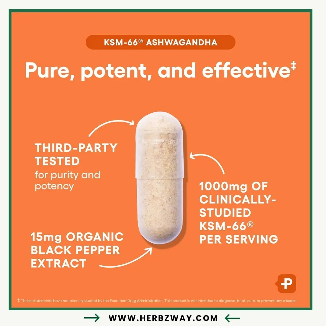 Physician’s CHOICE KSM-66 Ashwagandha