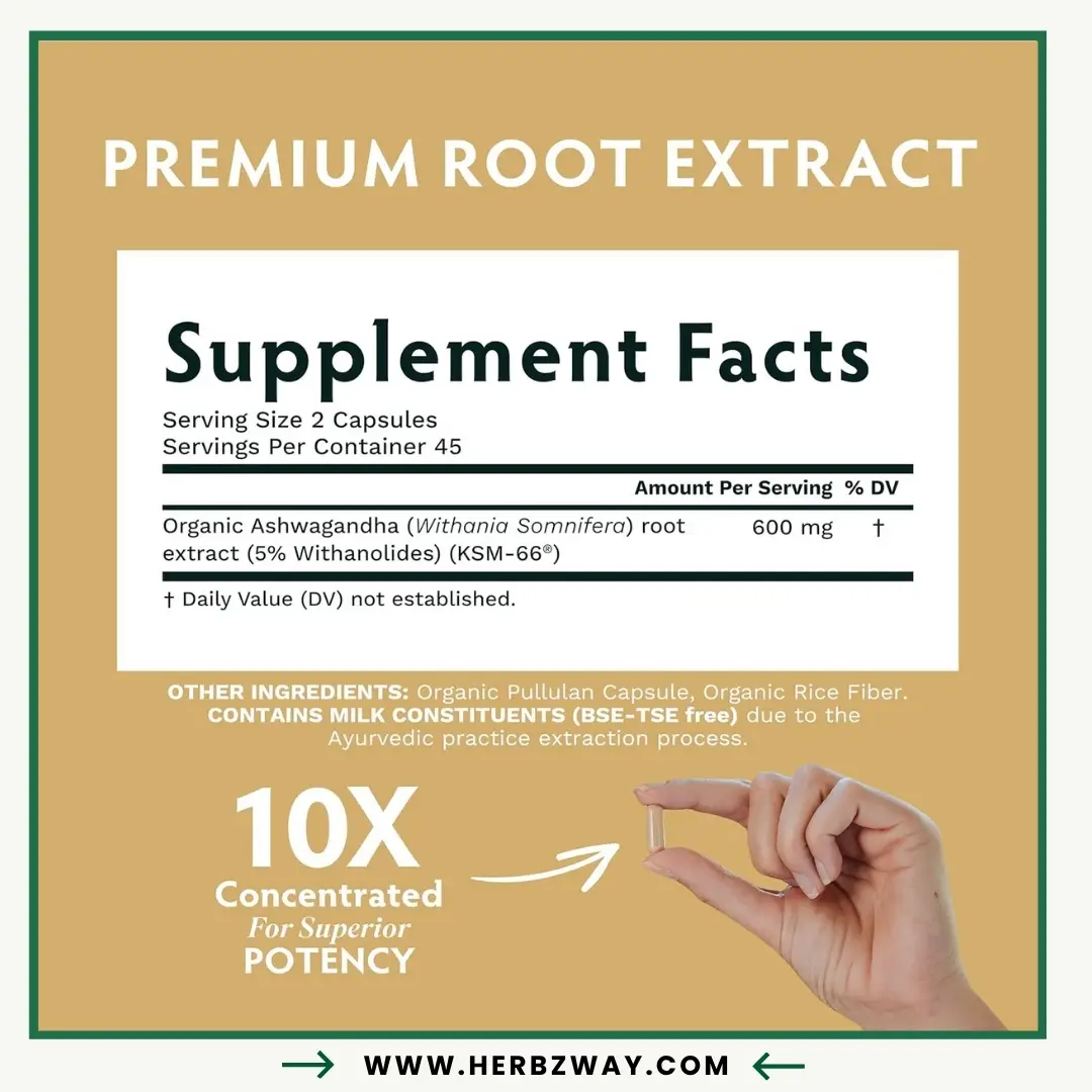 TRIBE-ORGANICS-Ashwagandha-KSM-66-Organic