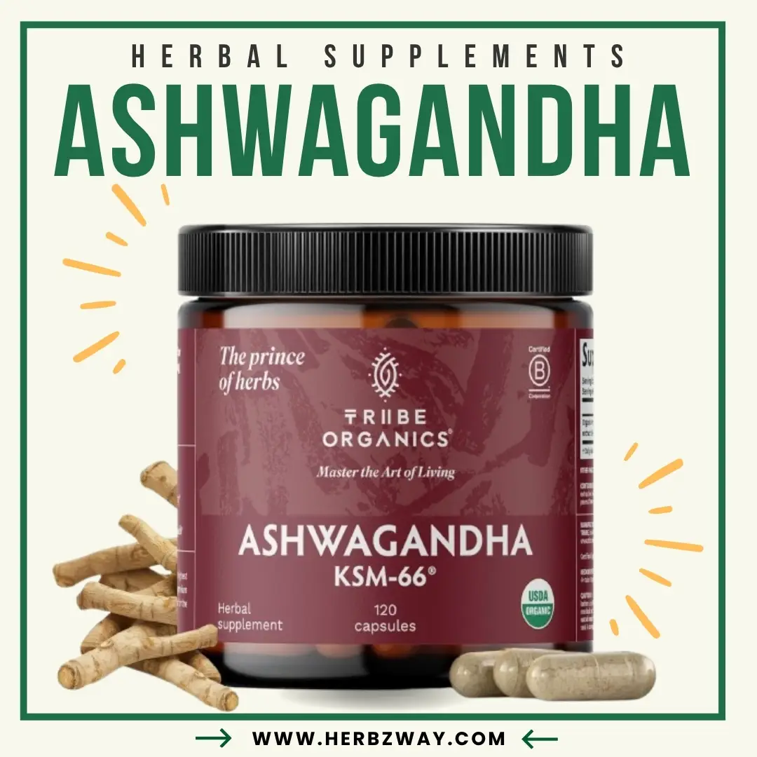 TRIBE-ORGANICS-Ashwagandha-KSM-66-Pure-Organic