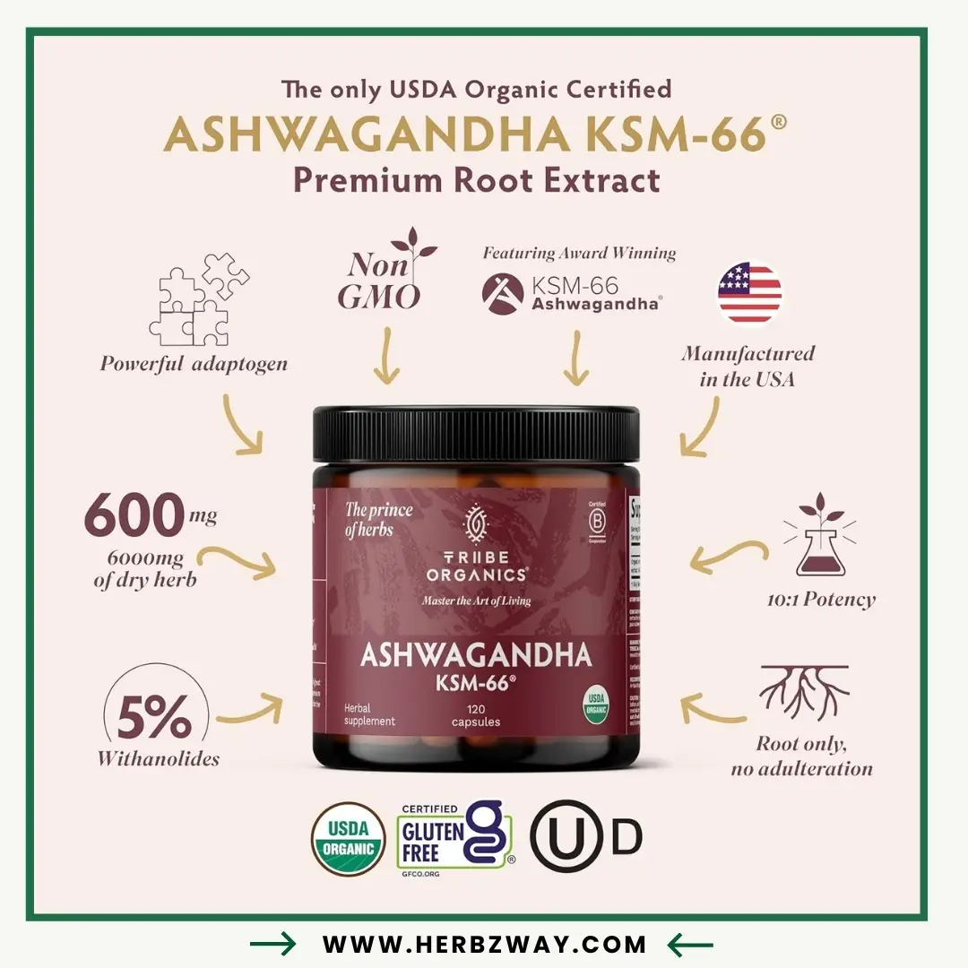 TRIBE-ORGANICS-Ashwagandha-KSM-66-Pure
