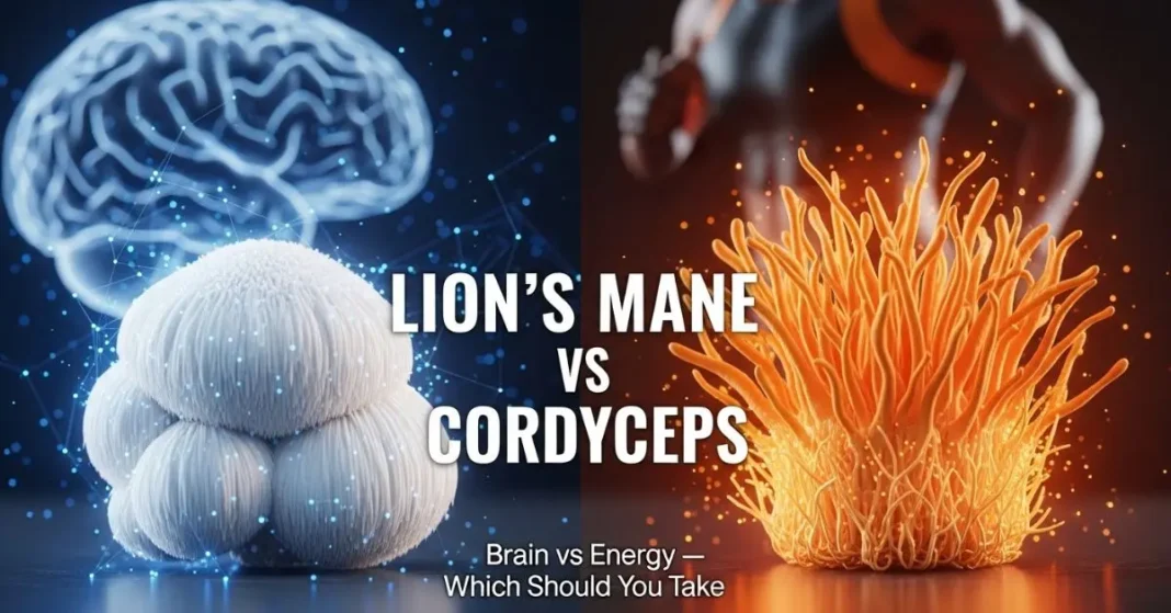 Lion’s Mane vs Cordyceps mushrooms comparison for brain vs energy benefits