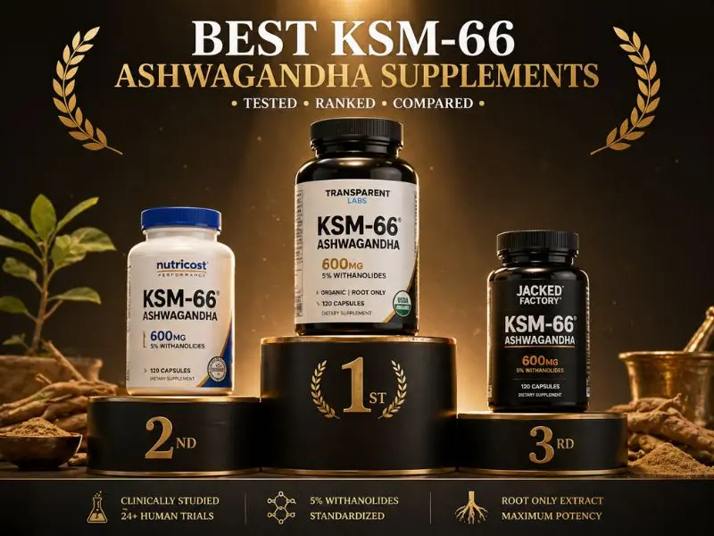 best ksm-66 ashwagandha supplements ranked top picks 2026