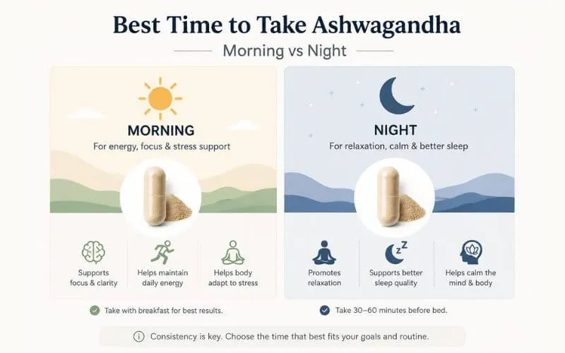 Best time to take ashwagandha morning vs night