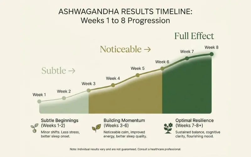 Ashwagandha results timeline weeks 1 to 8