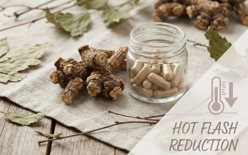 black cohosh for menopause hot flashes natural relief